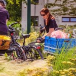 Markttag Neusiedlerviertel Mödling Juni2020