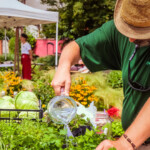 Markttag Neusiedlerviertel Mödling Juni2020